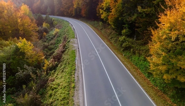 Obraz Empty asphalt road curving through a vibrant autumn forest from above