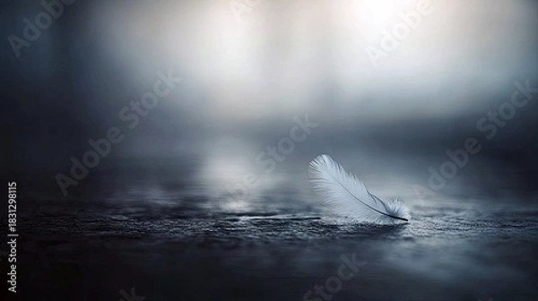 Fototapeta A single white feather lies on a textured dark surface, with a blurred, moody background. The image has a soft, ethereal quality.
