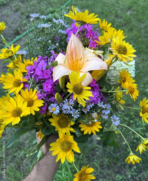 Obraz Vibrant bouquet of yellow and purple flowers held in hand, surrounded by greenery