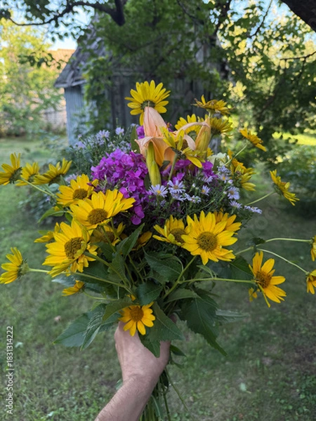 Obraz A person holds a vibrant bouquet of wildflowers in a sunny garden filled with greenery