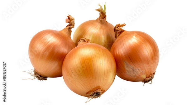 Fototapeta Group of Golden Brown Onions with Roots and Sprouts on White Background bulbs yellow