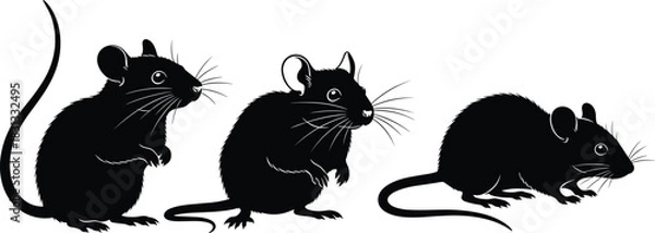 Obraz Set of Black Mouse or Rat Silhouette Vector Illustrations Showing Different Standing and Crawling Poses for Pest Control, Rodent, and Animal Design
