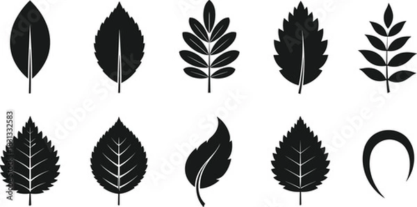 Obraz Set of Black Silhouette Leaf Vector Icons Illustrating Different Foliage Shapes, Including Simple and Compound Leaves, for Nature and Ecology Design