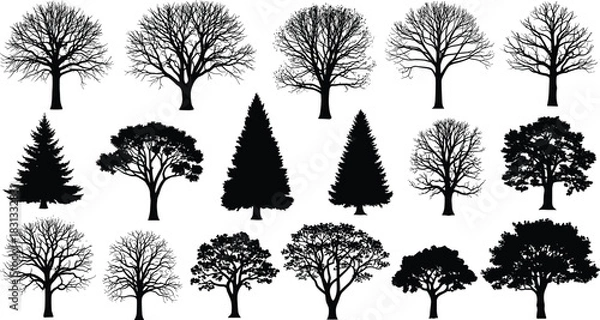 Obraz Set of Sixteen Black Vector Tree Silhouettes, Including Deciduous Trees with and without Leaves, and Evergreen Pine Trees, Ideal for Landscape Design, Nature Graphics, and Architectural Plans.