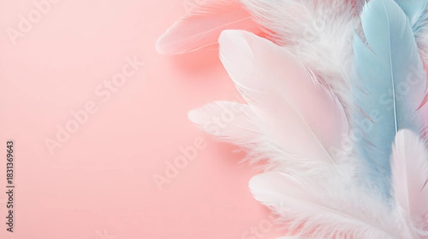 Fototapeta Falling Pink and light blue feather Abstract background texture.	
