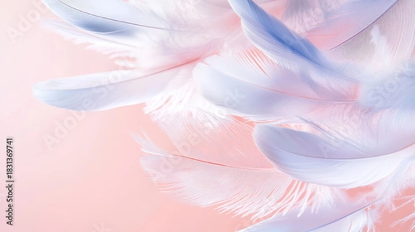 Fototapeta Falling Pink and light blue feather Abstract background texture.	
