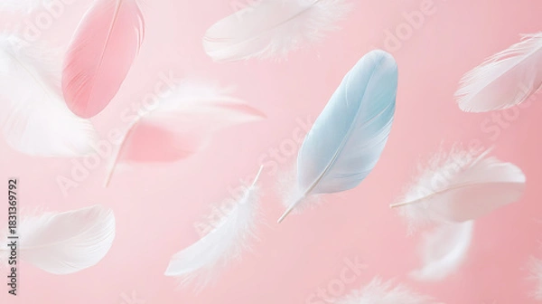 Fototapeta Falling Pink and light blue feather Abstract background texture.	
