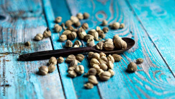 Fototapeta Dry Cardamom (kapulaga, Amomum compactum, cardamum). Cardamom are used as flavorings and cooking spices in food and drink