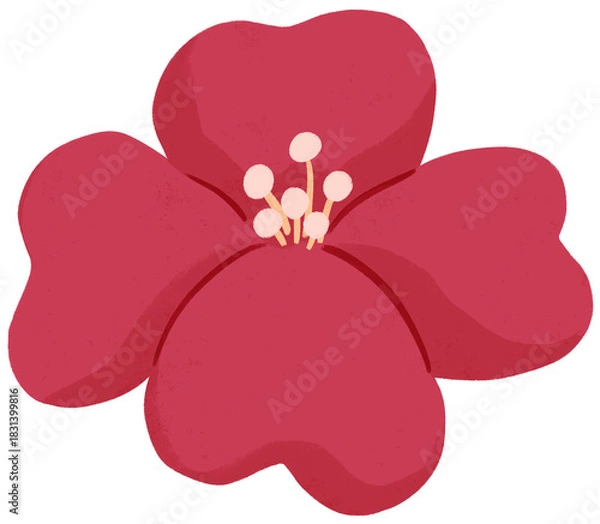 Fototapeta Isolated red flower illustration with transparent background. Cute floral doodle for flower arrangement, journaling, planner, greeting card, invitation, and decorative projects	
