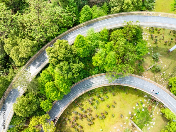 Fototapeta A circular walking path in the park