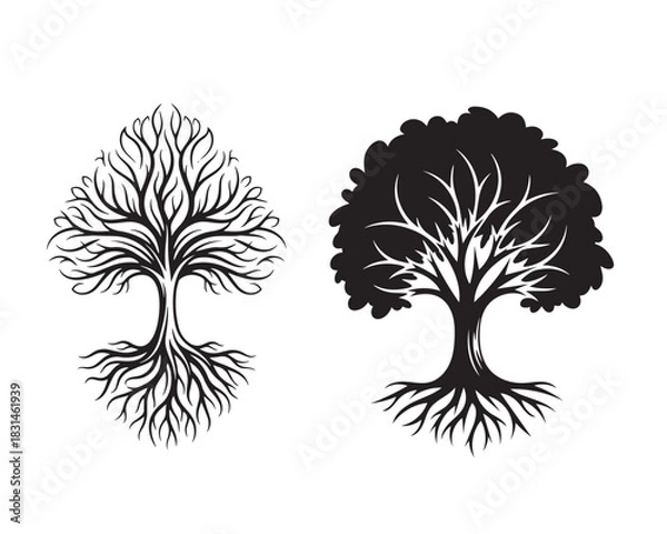 Fototapeta Black tree silhouette with roots and branches. Winter bare tree without leaves and summer tree with foliage vector set.