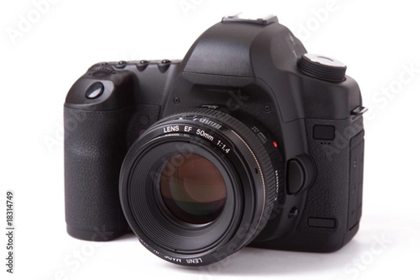 Obraz digital SLR camera