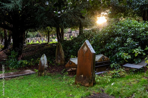 Fototapeta Weathered gravestones surrounded by dense trees and foliage, with bright sunlight shining through in the distance across cemetery