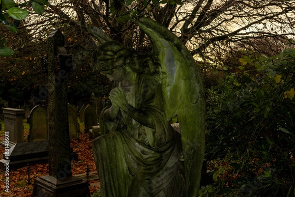 Fototapeta Weathered angel statue in an old graveyard