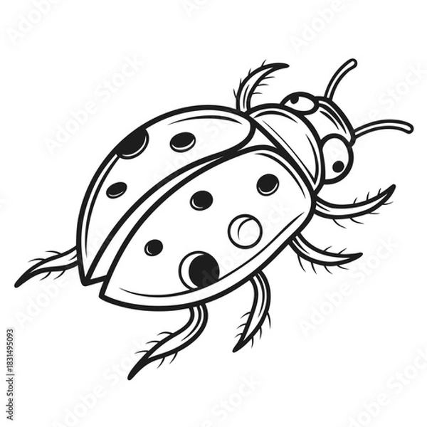 Fototapeta Black line art ladybug with spots on white background