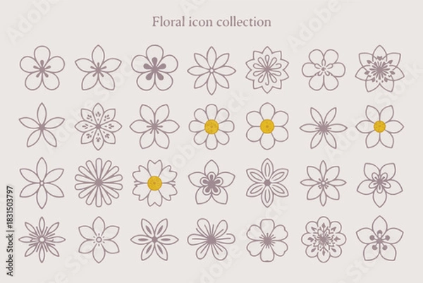 Fototapeta Set of 25 Delicate Floral Line Icons in a Clean Minimal Grid