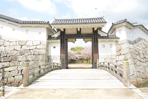 Fototapeta 城の門から見える桜