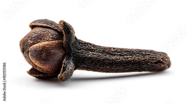 Obraz Single Dried Clove on White Background