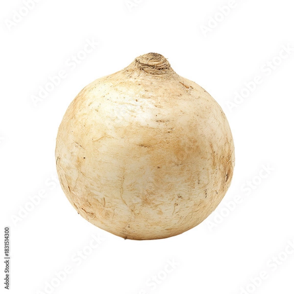 Obraz Round, pale-tan root vegetable