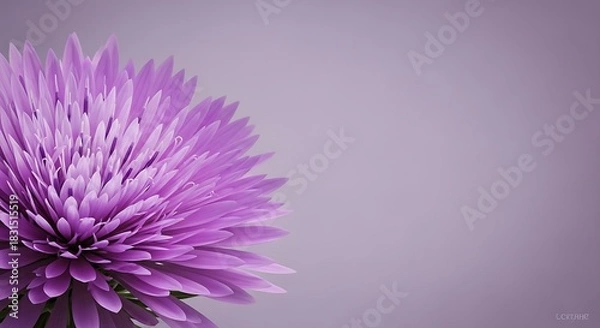 Obraz Beautiful Purple Aster Flower Close-up on a Soft Lilac Background with Copy Space