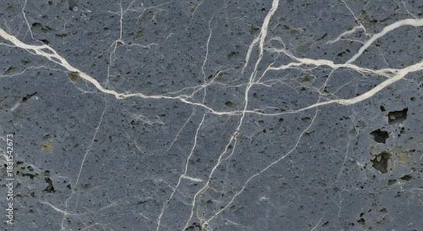 Obraz Dark grey natural stone surface with intricate white veins and textured details background