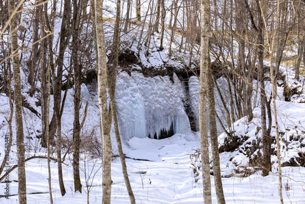 Obraz 北海道平取町、マカウシノ沢川沿いに見られるマカウシの滝氷【12月】