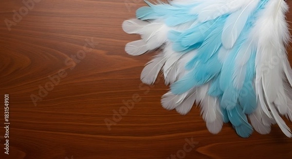 Fototapeta Dreamy blue and white feather decoration on a warm wood background texture