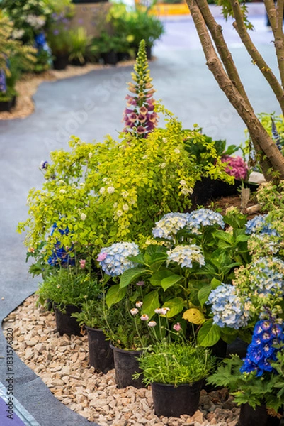 Obraz Lush Garden Pathway Filled with Colorful Flowers and Greenery Enhancing Natural Beauty