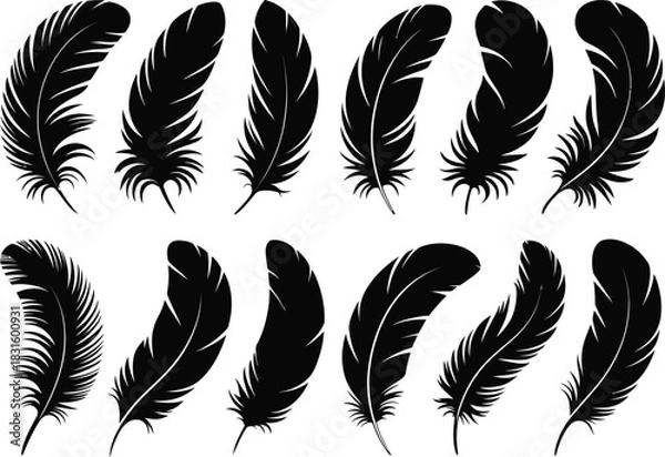 Fototapeta Feather silhouette set illustration