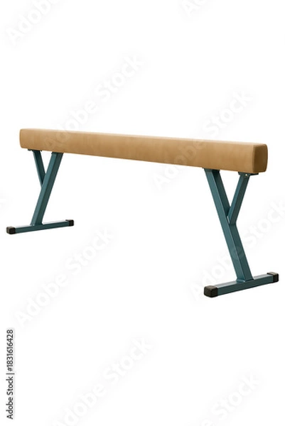 Obraz Gymnastic Balance Beam