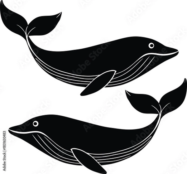 Obraz Two black whales with white outlines swimming on a white background marine life ocean