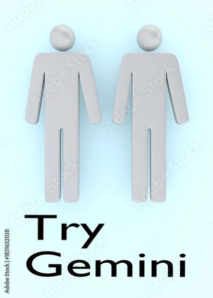 Fototapeta Try Gemini concept