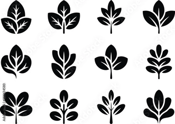 Fototapeta Leaf icon set design