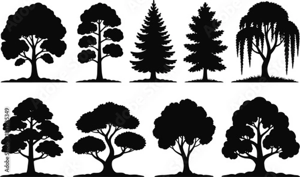 Fototapeta Tree silhouette collection