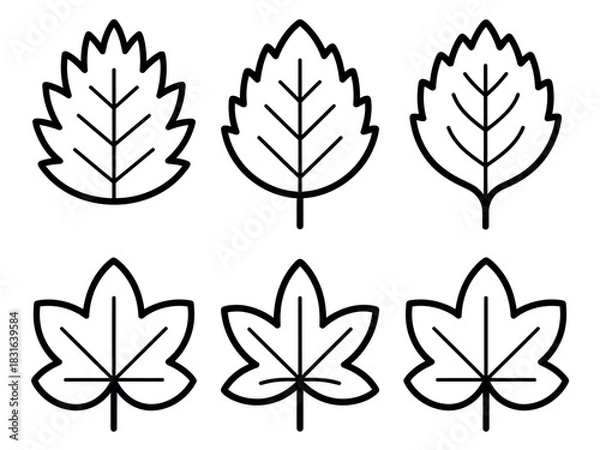 Obraz A collection of six stylized leaf icons in black and white.