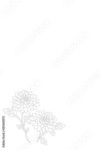 Fototapeta 喪中はがき〈キク〉　A-2