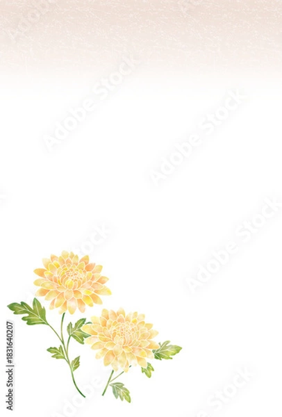 Fototapeta 喪中はがき〈キク〉　A-4