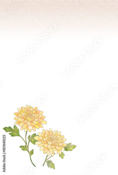 Obraz 喪中はがき〈キク〉　A-5