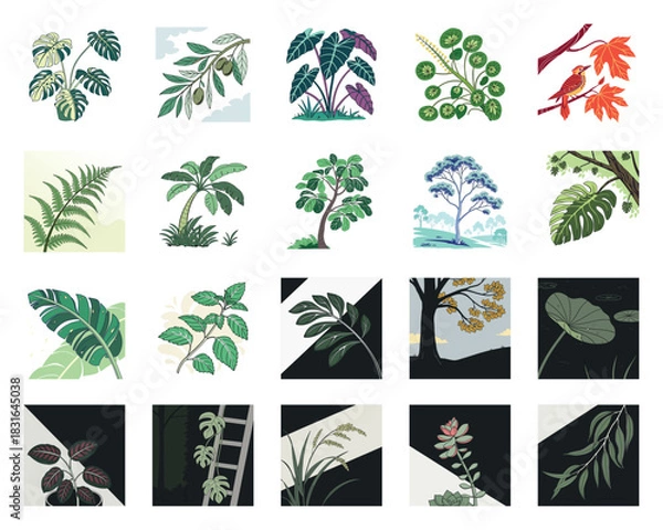 Fototapeta Large Botanical Illustration and Icon Collection: Nature Plants, Leaves, and Tropical Foliage Set