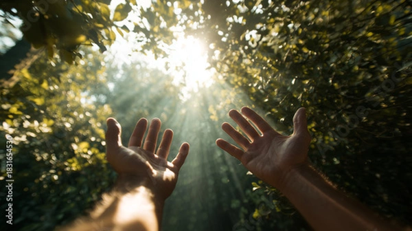 Obraz Hands Reaching for Sunlight Through Leaves in Lush Forest