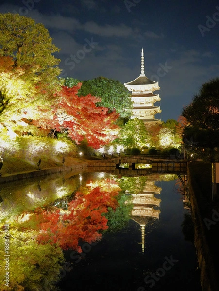 Fototapeta ライトアップで浮かび上がる京都・東寺の紅葉した木々が水面にリフレクションした風景