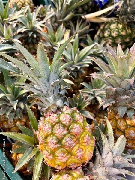 Obraz pineapple