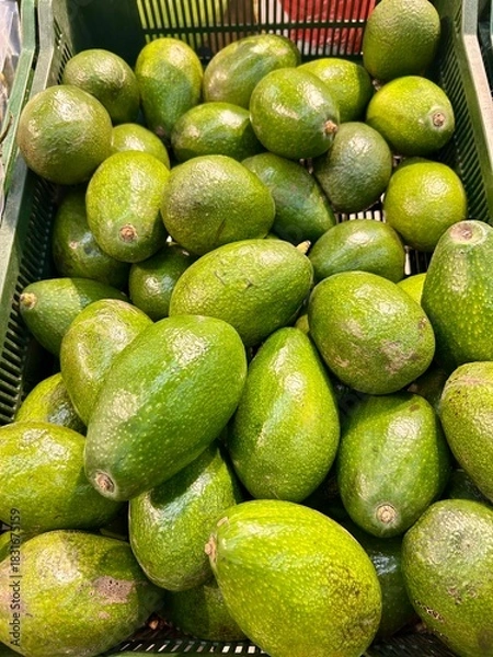Obraz avocado