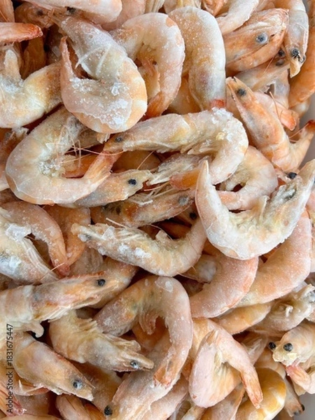 Obraz frozen king prawns
