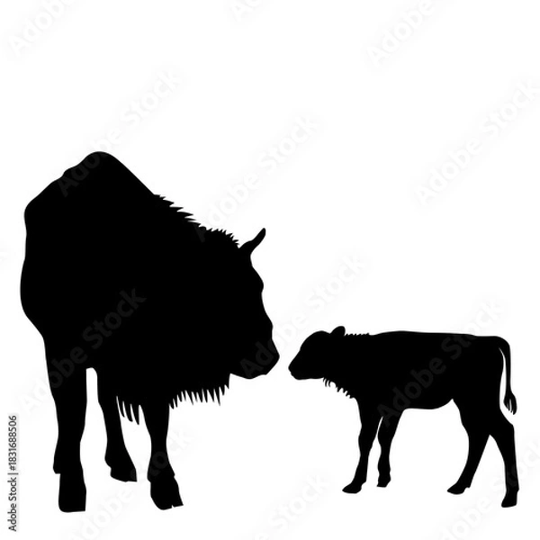 Obraz Bison mother and child silhouette.eps