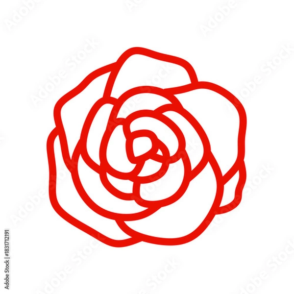 Obraz red rose flower vector with trendy design