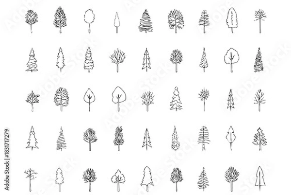Fototapeta Set of hand drawn trees collection. Trees in sketch style, isolated. Different plants in silhouette drawing for desing.