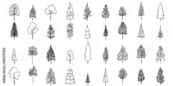 Fototapeta Set of doodle trees, vector drawing of various trees, element for graphic design sketch art nature landscape vector