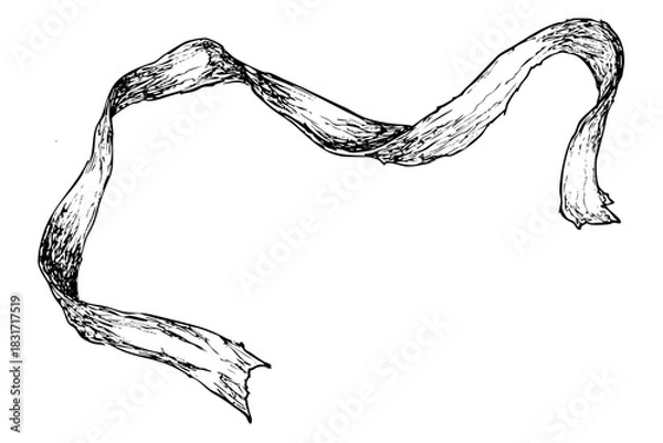 Fototapeta Elegant waving ribbon sketch, stripe of cloth, fabric or banner decoration element for holiday. Graphic blank decorative banner. Design of tape element.