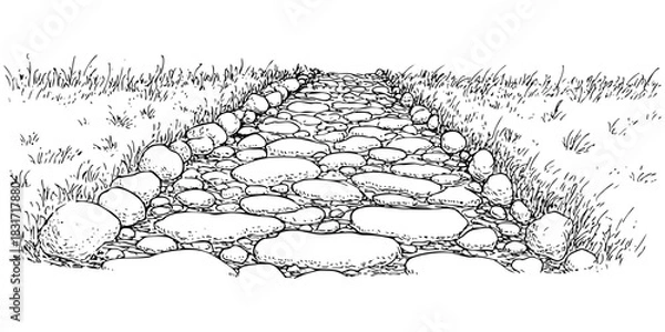 Fototapeta Stone pathway illustration of walkway path for background. Grass landscape view. Path made of stones and grass. Vector illustration.